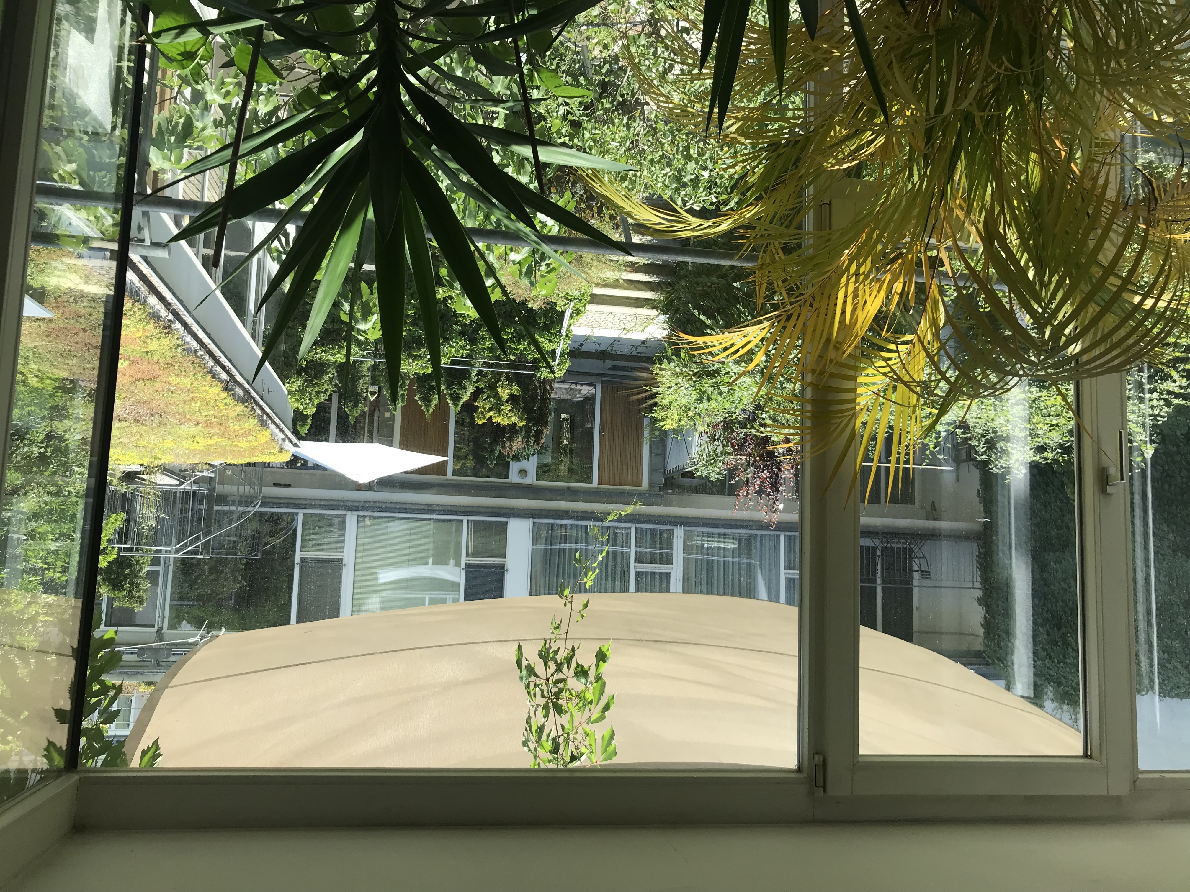 Blick aus einem Wohnungsfenster in einen begrünten Innenhof. Das Fenster wird von einem außen angebrachten Sonnensegel beschattet; im Hintergrund ist auch ein weißer Sonnenschirm zu sehen.
