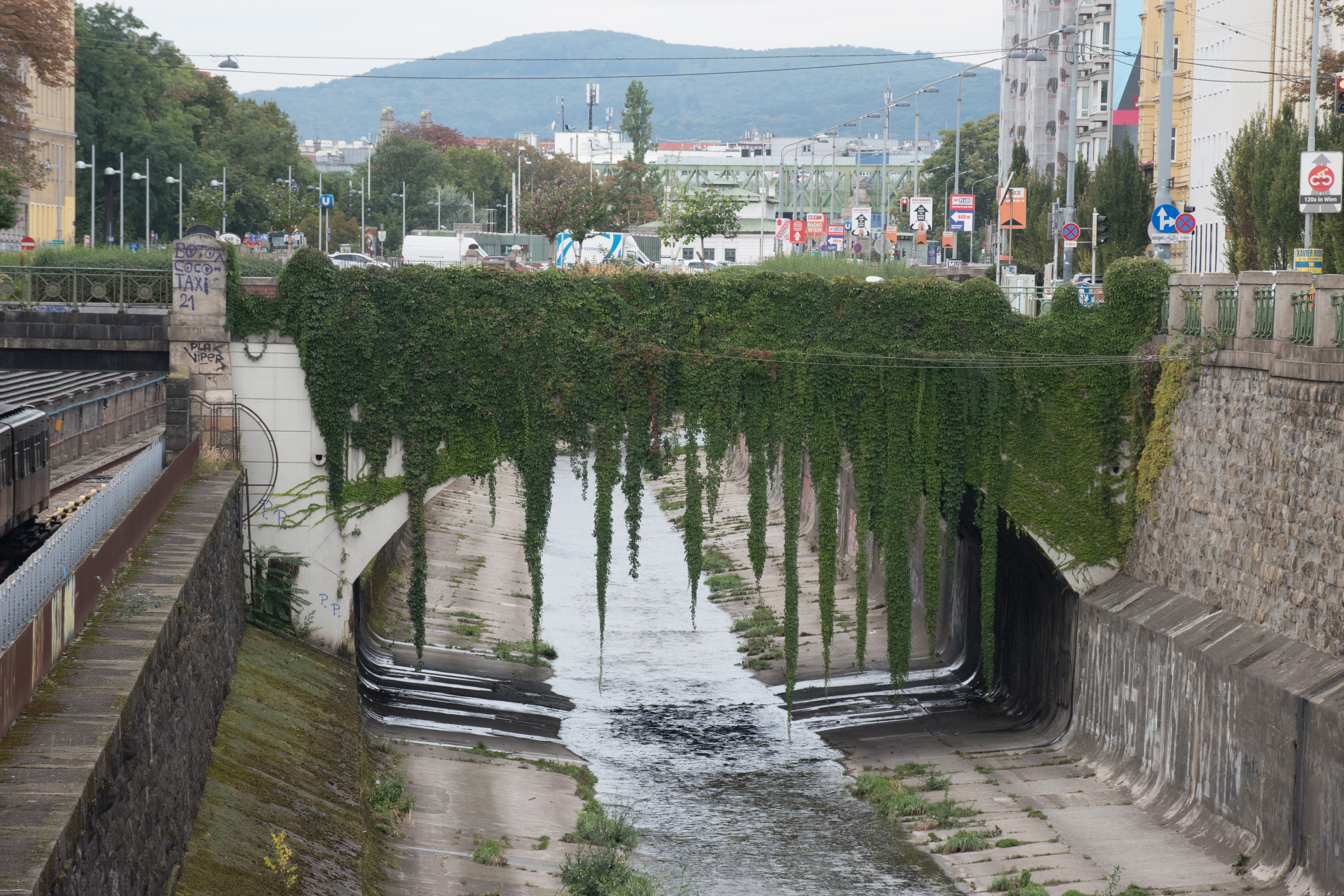 Farbfoto: Brücke über den Wienflusskanal – herabhängende Weinranken.