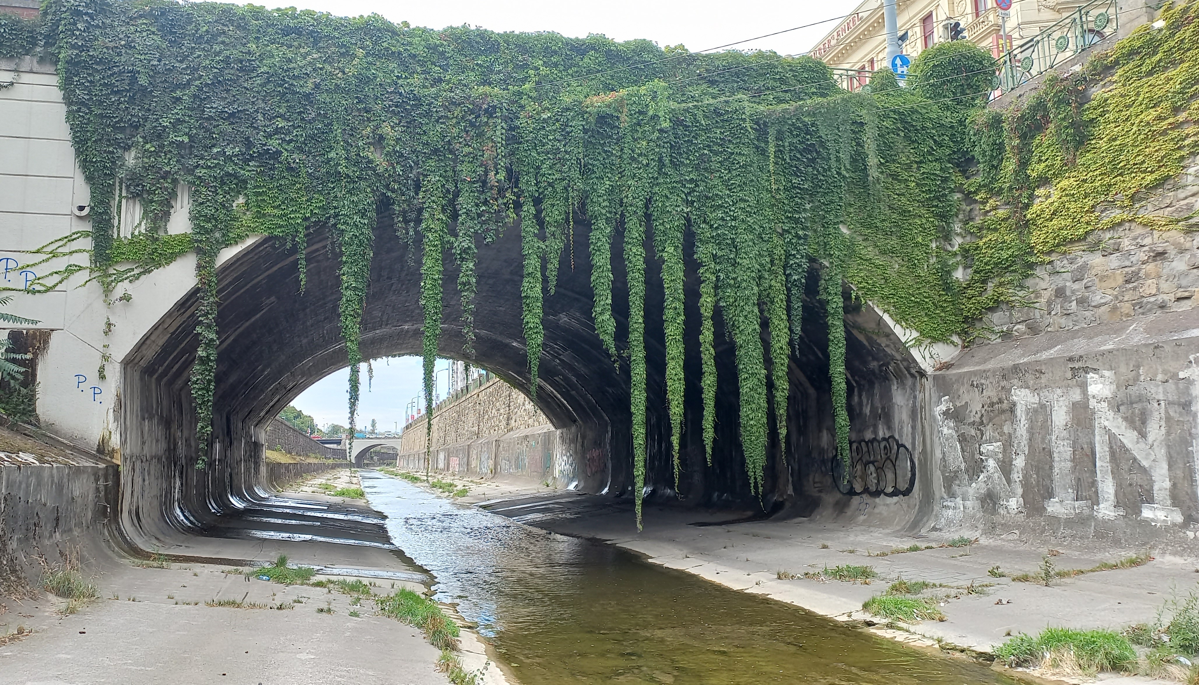 Seitlicher Blick auf eine Brücke, von der viele grüne Rankpflanzen in den darunter liegenden, offenen Kanal hängen.