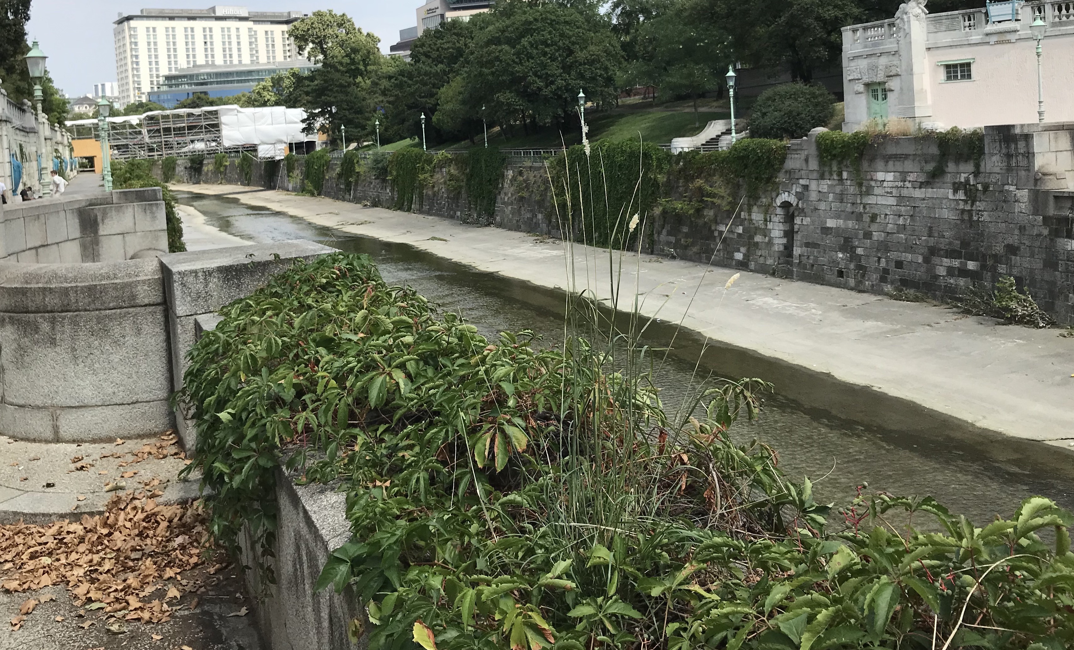Farbfoto: Steinerne Pflanztröge mit Weinpflanzen und Gräsern. Rechts unten ist der Wienflusskanal zu erkennen.
