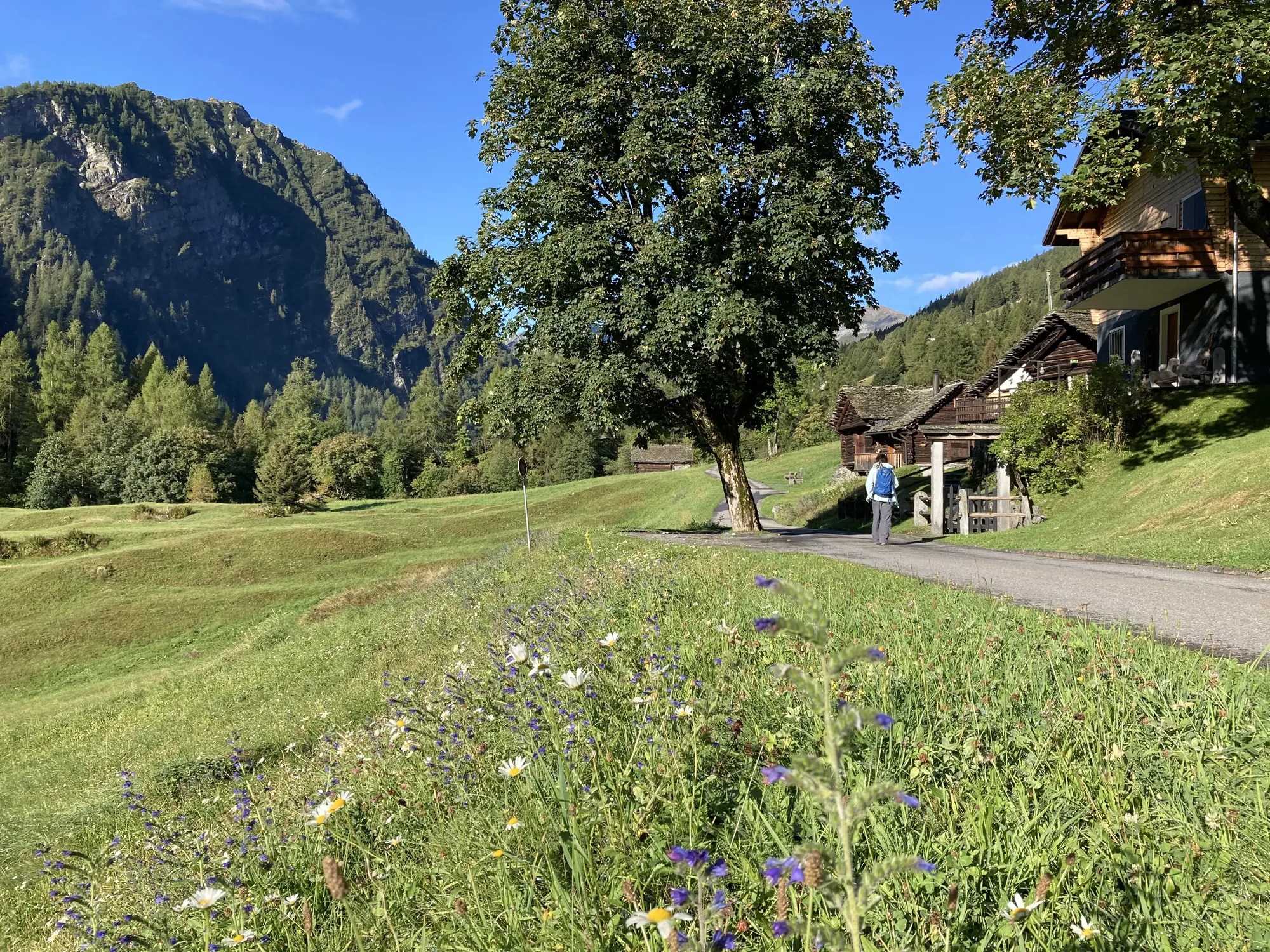 Blühende Bergwiese am Wegrand, dahinter Holzhäuser und bewaldete Berghänge